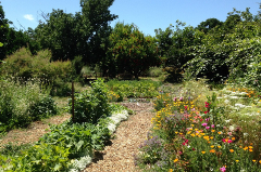 Ecological garden