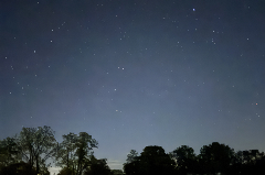 Night sky with stars and a tree line on the bottom