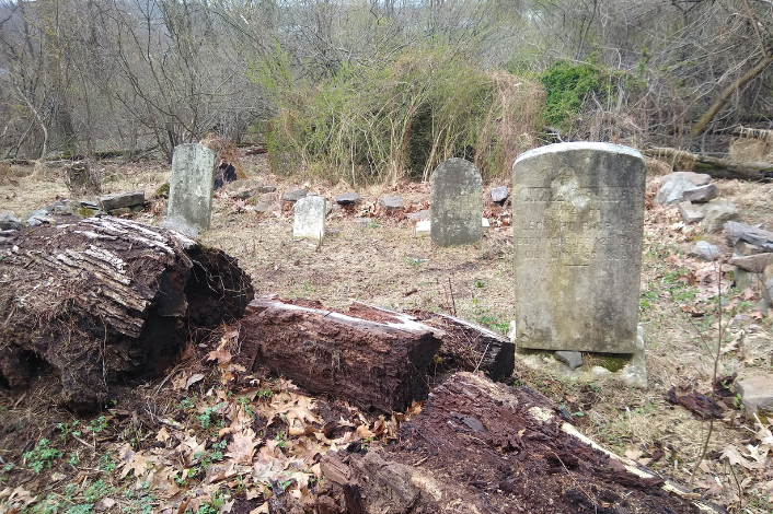 Craig Cemetery Image of tombstones, felled tree and leaves