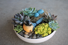 white bowl planter with succulent plants and a bluebird