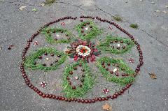 Mandala made of natural berries, grass and leaves