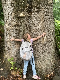 Photo of a huge tree trunk and a little girl about age 8 hugging the tree.  The girl is wearing pink and shite and purple sneakers, buly jeans, and a huge addidas back pack