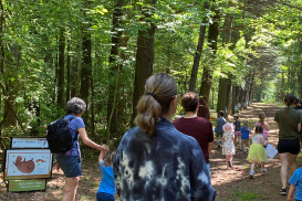 Families enjoying a StoryWalk at Detweiler Park outdoors with green trees