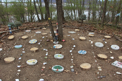 Art in the Wild Exhibit 2025_ Trees with stepping stones made of wood and painted stone.