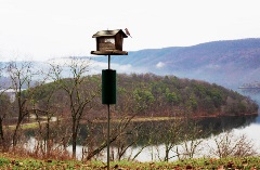 Picture of a bird feeder with a small bird perched on the roof overlooking a body of water with trees in the background