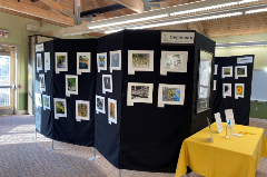 Display of photo contest enteries
