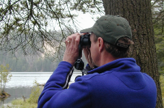 Back of a man in a blue half zip and a army green hat looking through binoculars across a body of water