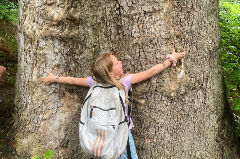 Young girl hugging a huge tree